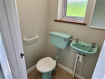 Picture 8